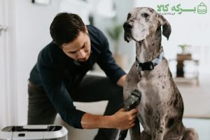 لکهبر فرش و مبل 31149 Bark Bath